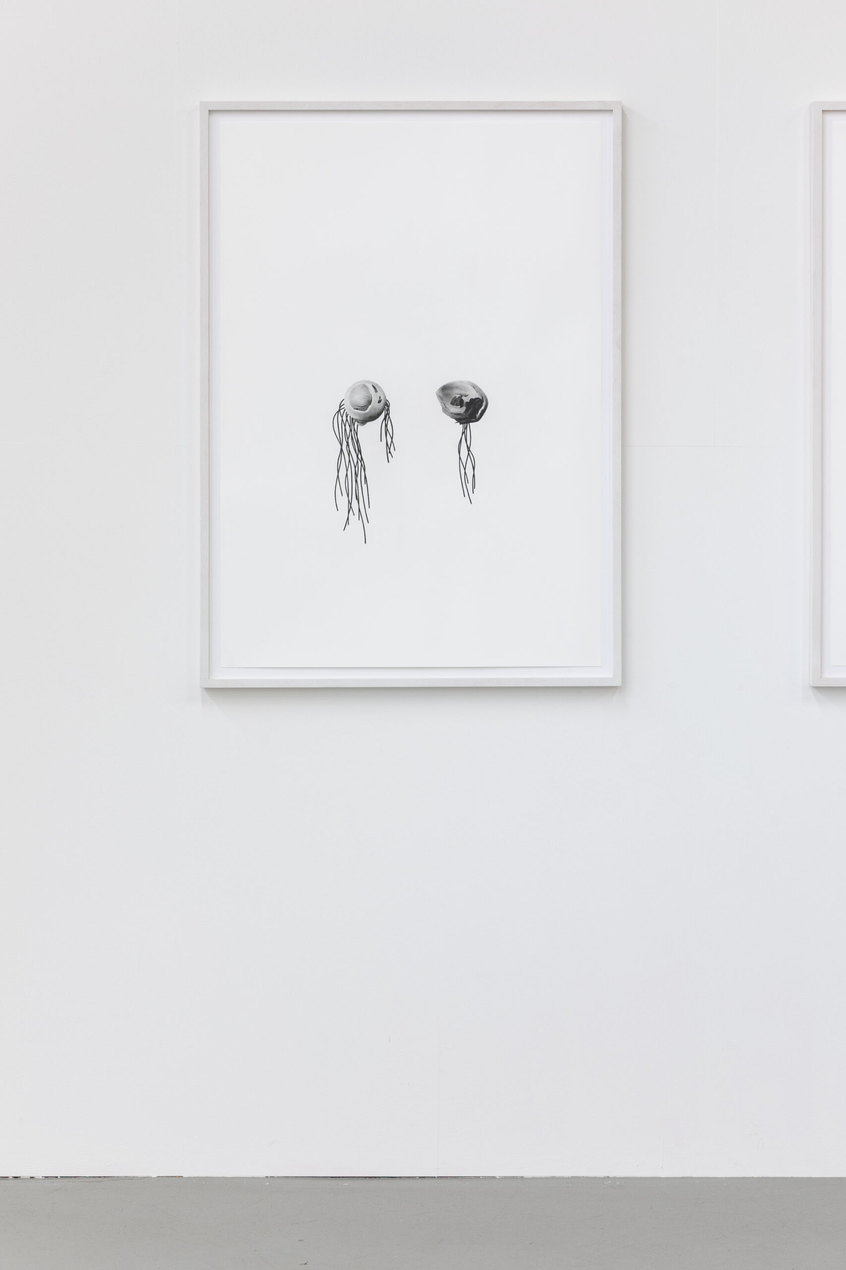 All down the Line – Drawing now