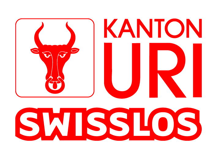 Logo Sponsor