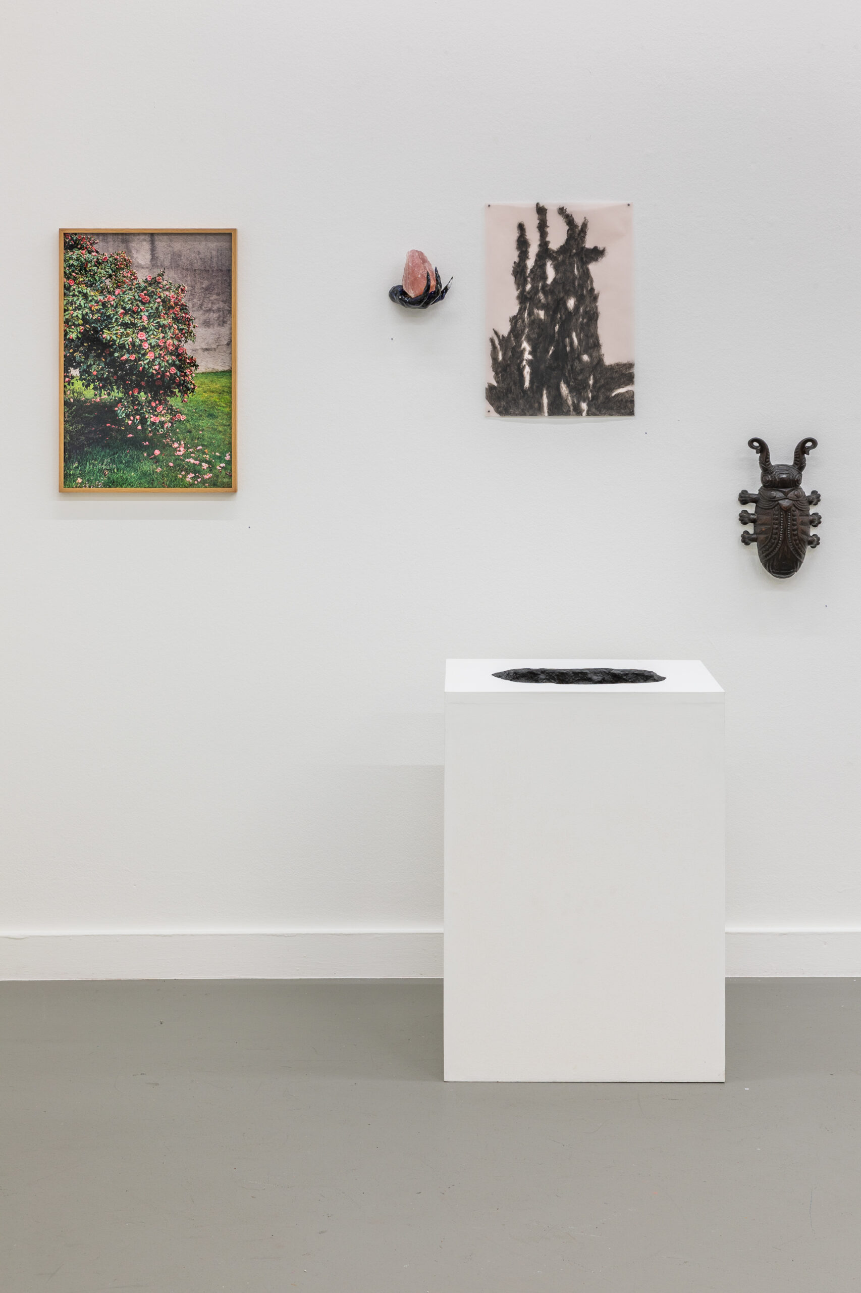 30 × 25 – Wir feiern doppelt